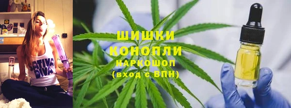 спайс Алзамай