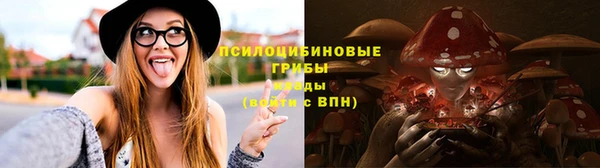 гидра Алексеевка