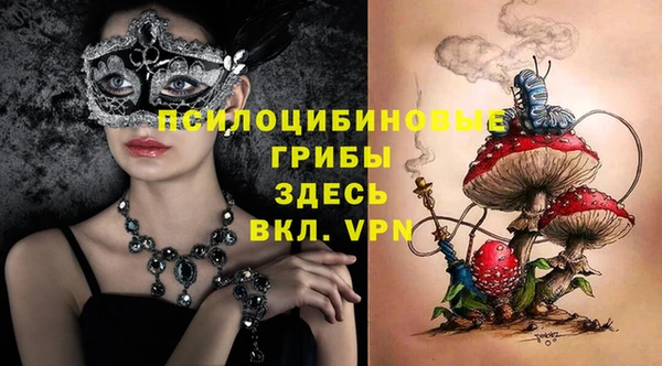 спайс Алзамай