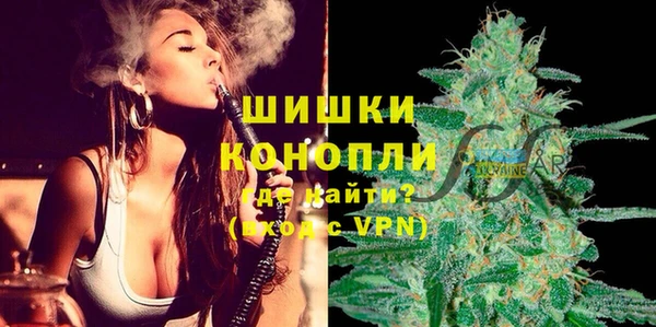 гидра Алексеевка