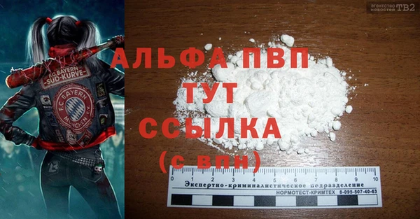 дурь Осташков
