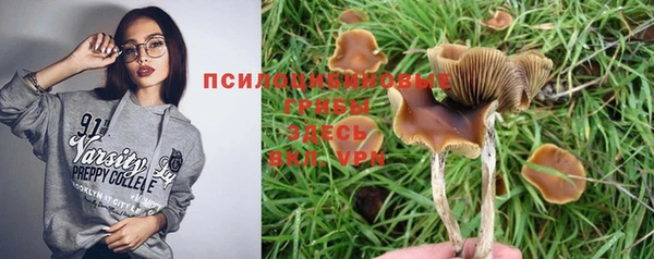 гидра Алексеевка