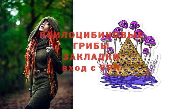 молекула духа Алексин