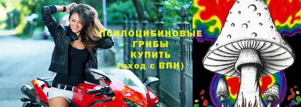 молекула духа Алексин