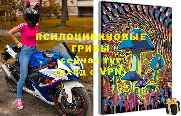спайс Алзамай