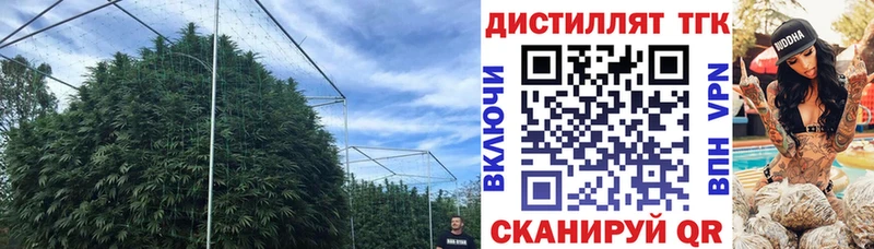ТГК жижа Олонец